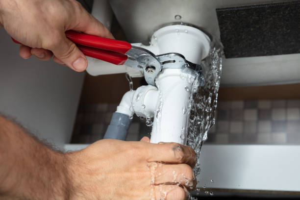 Best Local water damage restoration  in Aragon, GA
