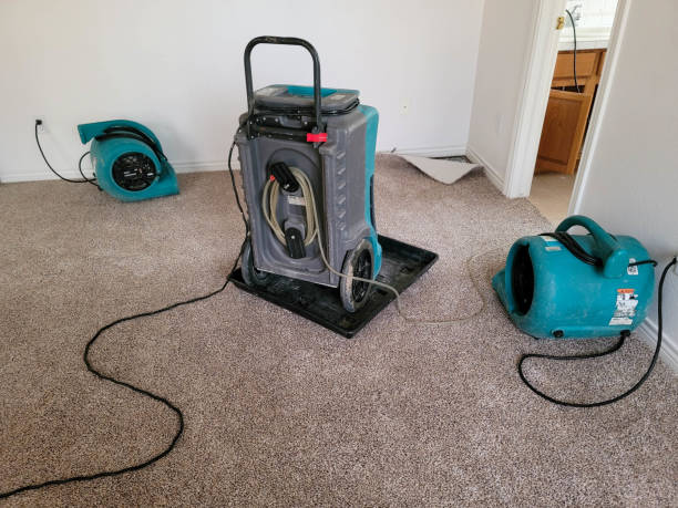 Best Ceiling water damage repair  in Aragon, GA