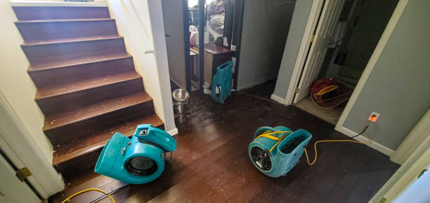 Best Flooded house restoration  in Aragon, GA