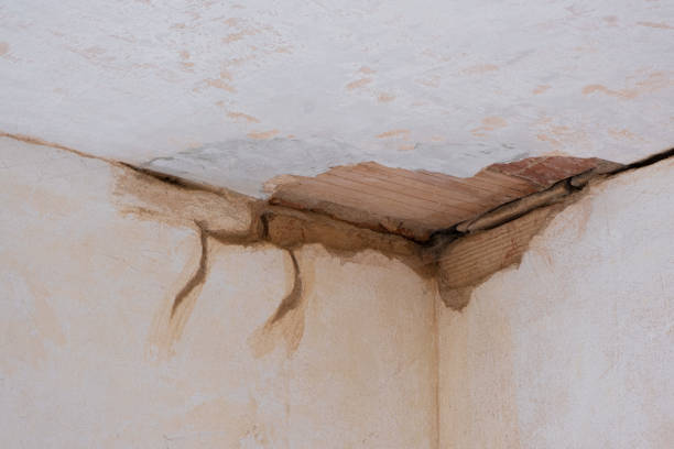 Best Water damage restoration insurance claims  in Aragon, GA