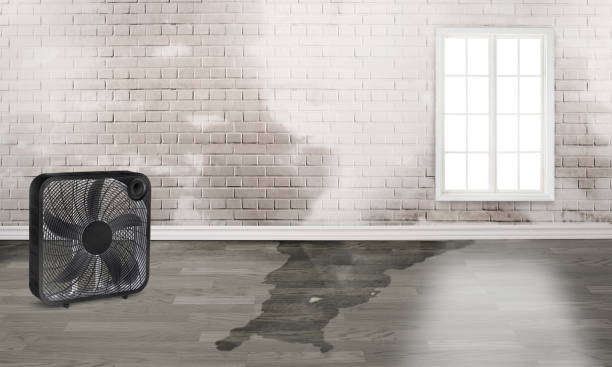 Best Professional water damage repair  in Aragon, GA