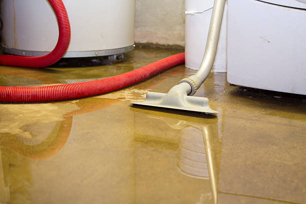  Aragon, GA Water damage restoration Pros