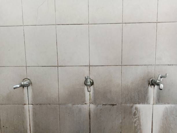 Best Water damage restoration company  in Aragon, GA