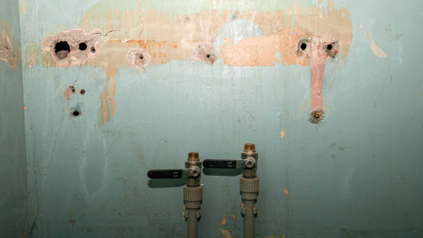 Best Water damage cleanup near me  in Aragon, GA