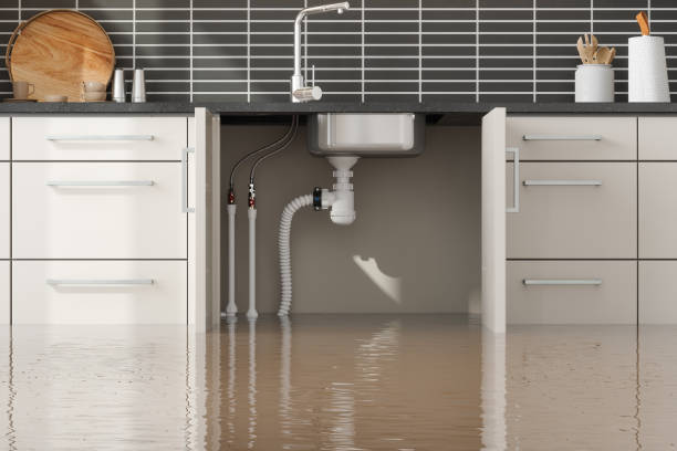 Best Basement water damage restoration  in Aragon, GA