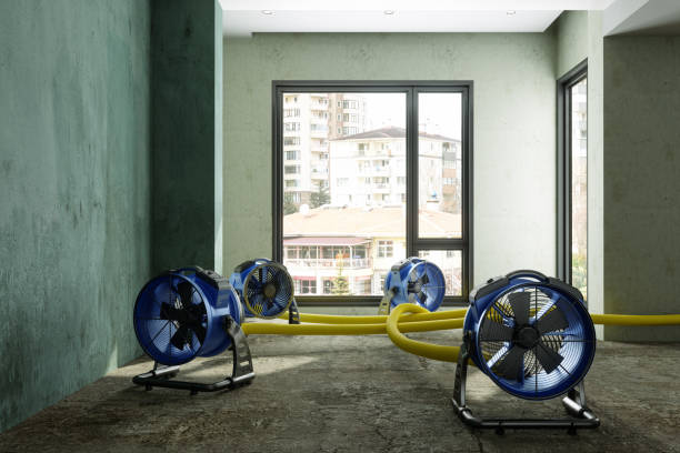Best Professional water damage repair  in Aragon, GA