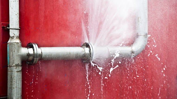 Best Mold removal after water damage  in Aragon, GA